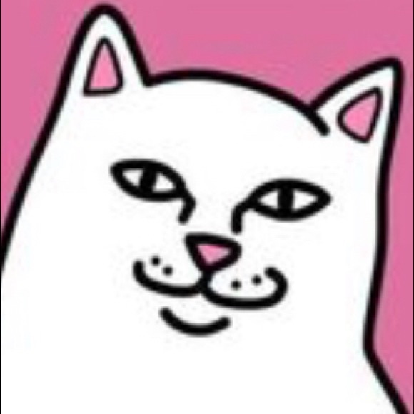 Meet your Posher, Wyatt - Picture 1 of 1